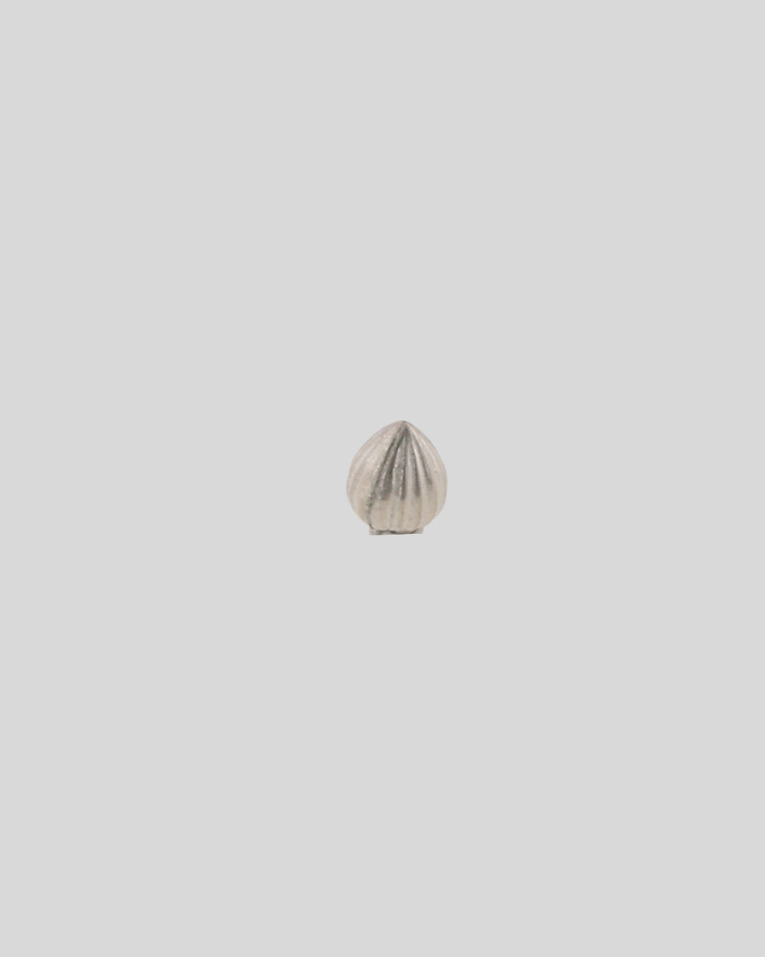 Divine Modak in 999 Pure Silver