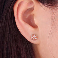Halo Butterfly Studs in 92.5 Silver