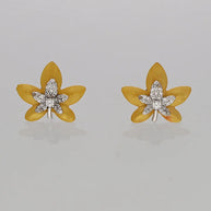 Golden Bloom Set in 92.5 Silver