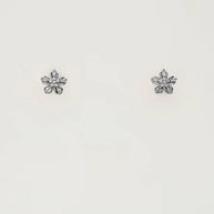 Luna Charm Duo  in 92.5 Silver