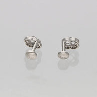Zorina Studs in 92.5 Silver