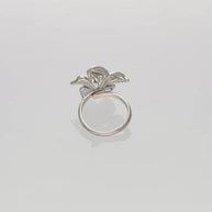 Luna Frost Ring in 92.5 Silver