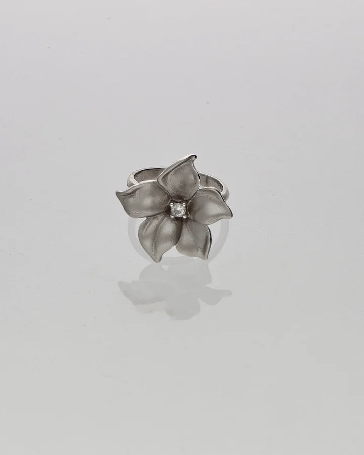 Luna Frost Ring in 92.5 Silver