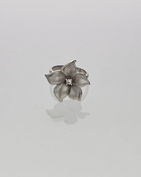 Luna Frost Ring in 92.5 Silver