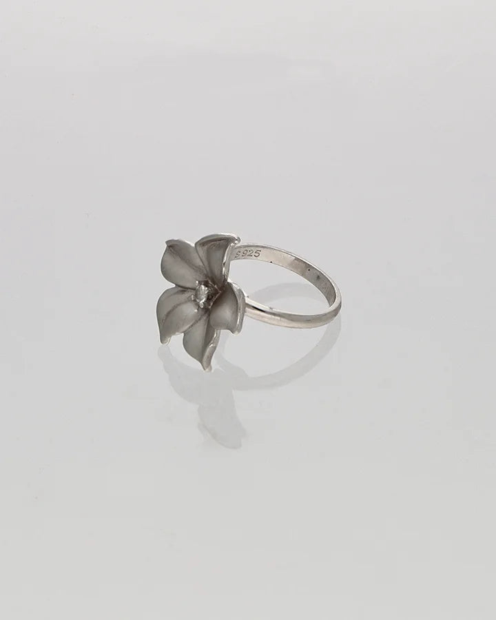 Luna Frost Ring in 92.5 Silver
