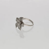 Luna Frost Ring in 92.5 Silver