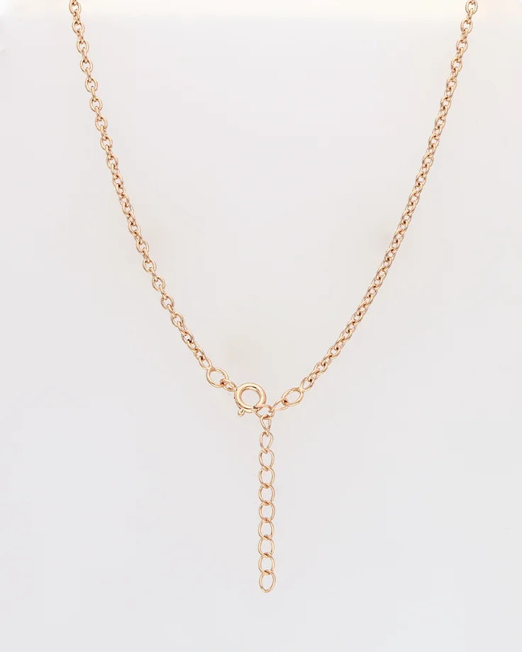 Rose Orbit Omega Necklace in 92.5 Silver