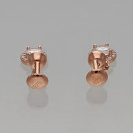 Spark Drop Earrings in 92.5 Silver