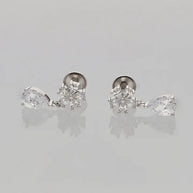 Dangle Earrings in 92.5 Silver