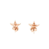 Rose Classic Solitaire Studs in 92.5 Silver