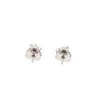 Crystal Petal Drop Earrings in 92.5 Silver